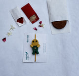 Plantable Rakhi for Kids in Bear Shape with Roli Chawal & Coco Disc