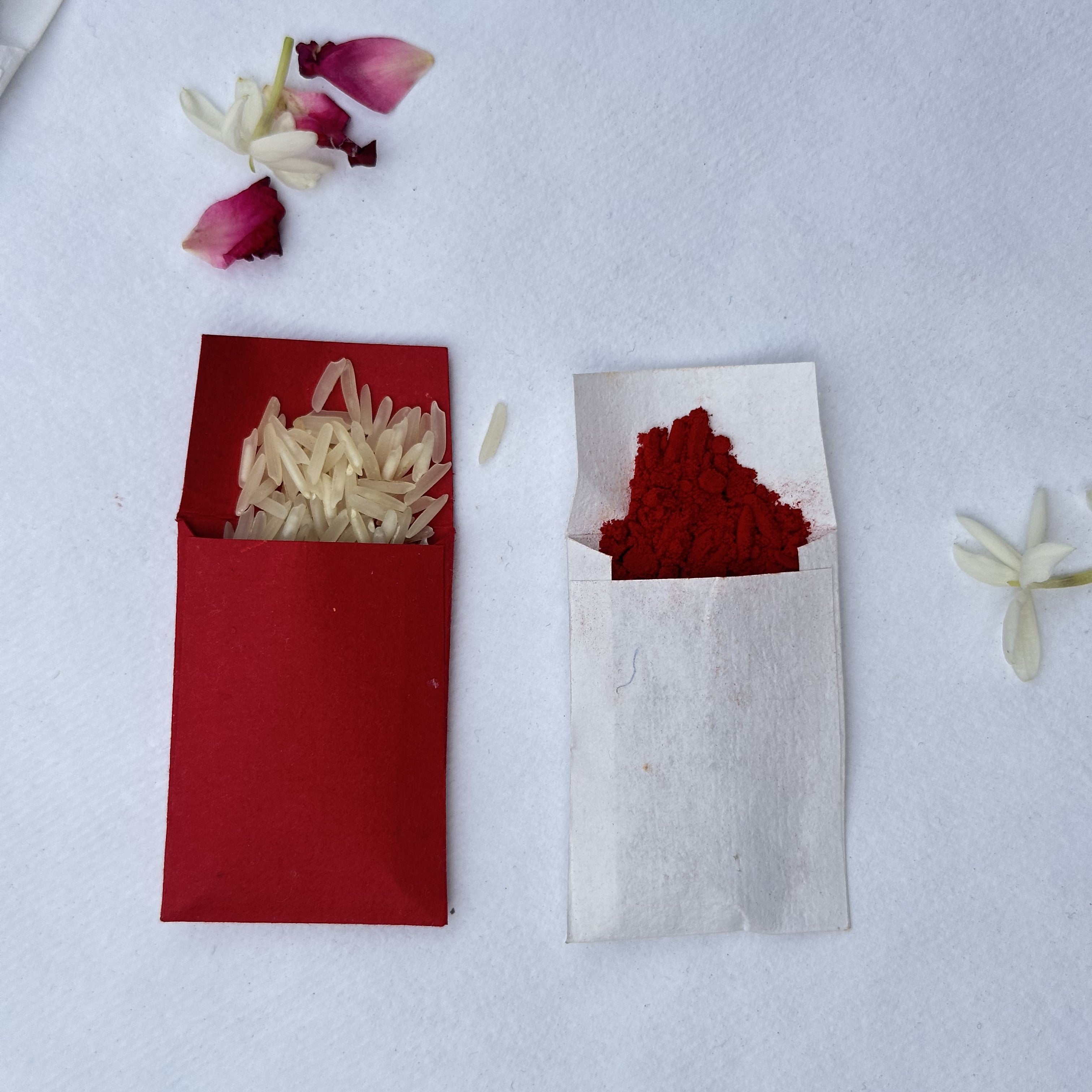 Blue Plantable Rakhi with Roli Chawal & Coco Disc