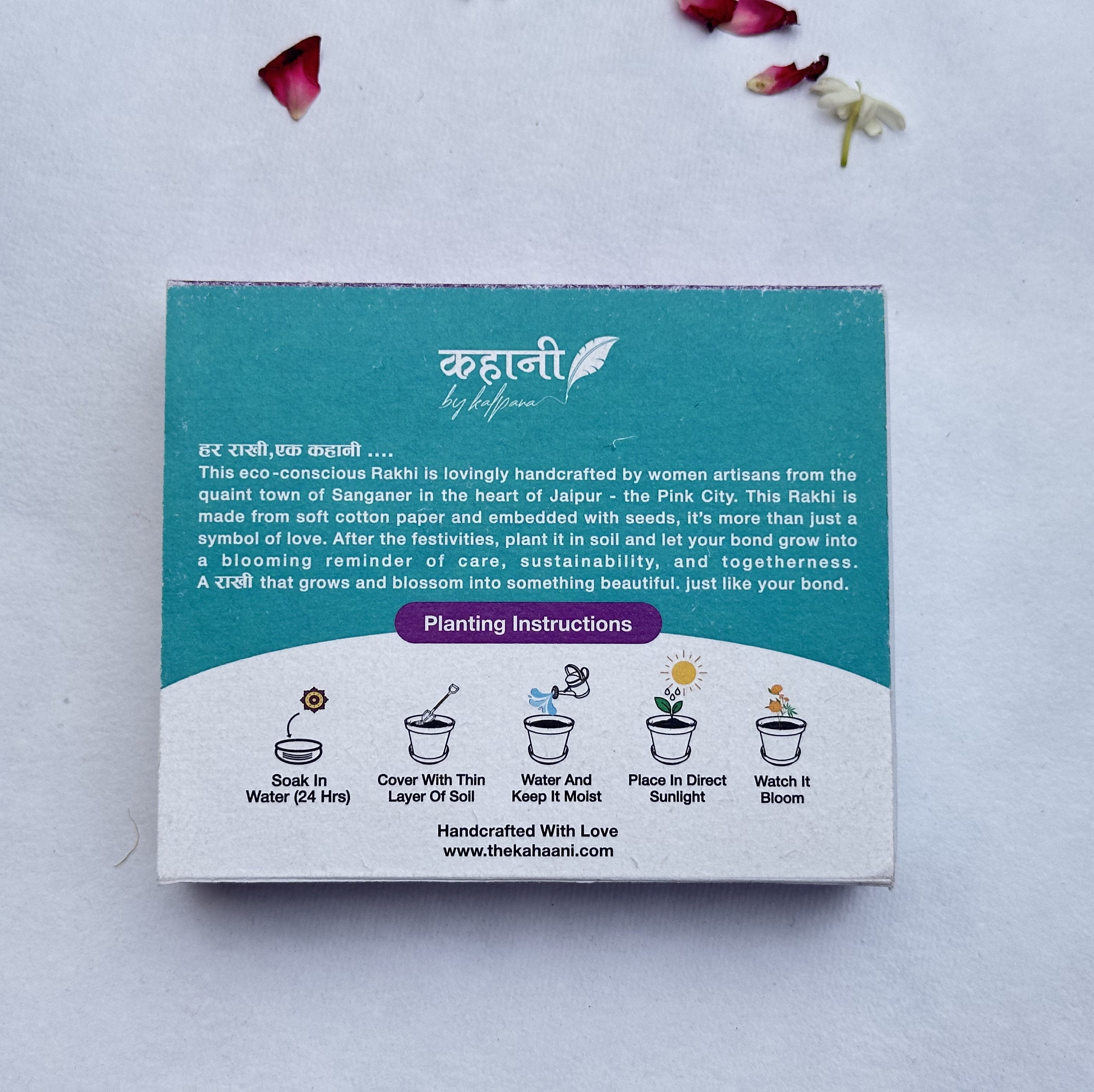 Blue Plantable Rakhi with Roli Chawal & Coco Disc